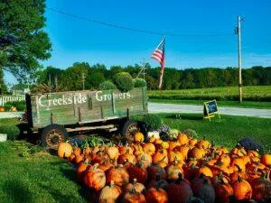 appliance repairs in Indiana where there are roadside markets