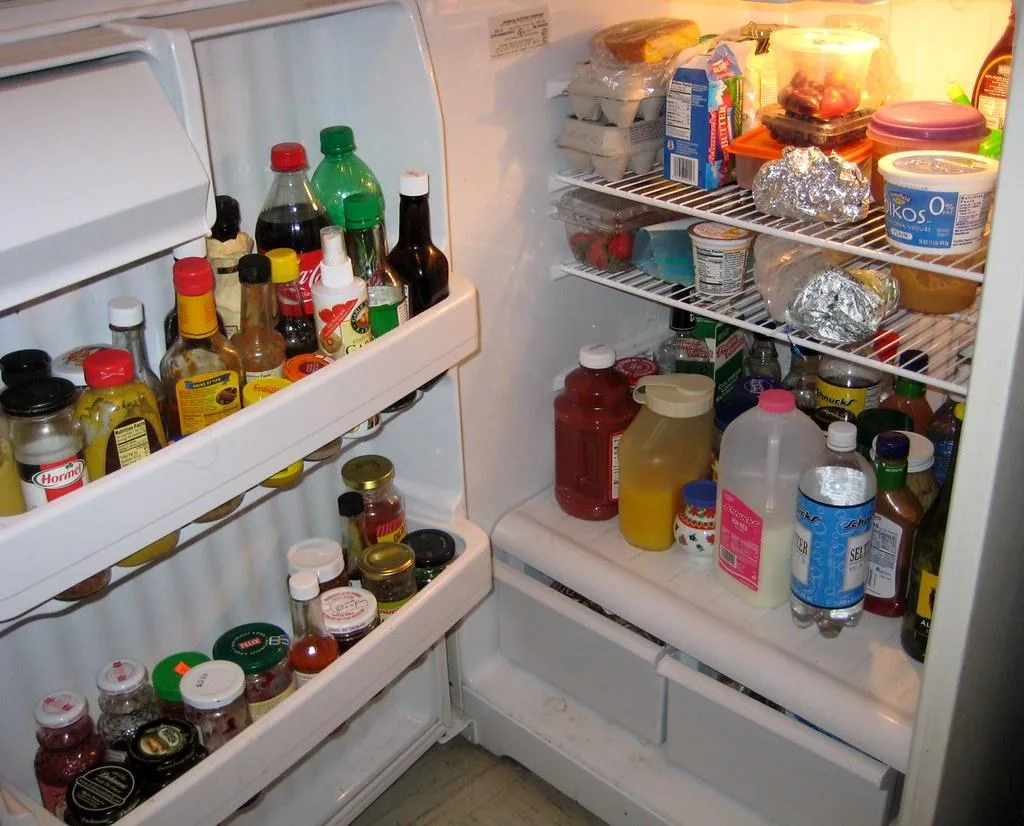 fast refrigerator repair service