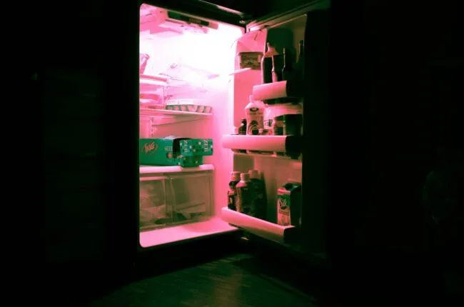 refrigerator repair service