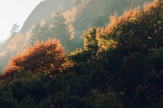 mountains in north carolina