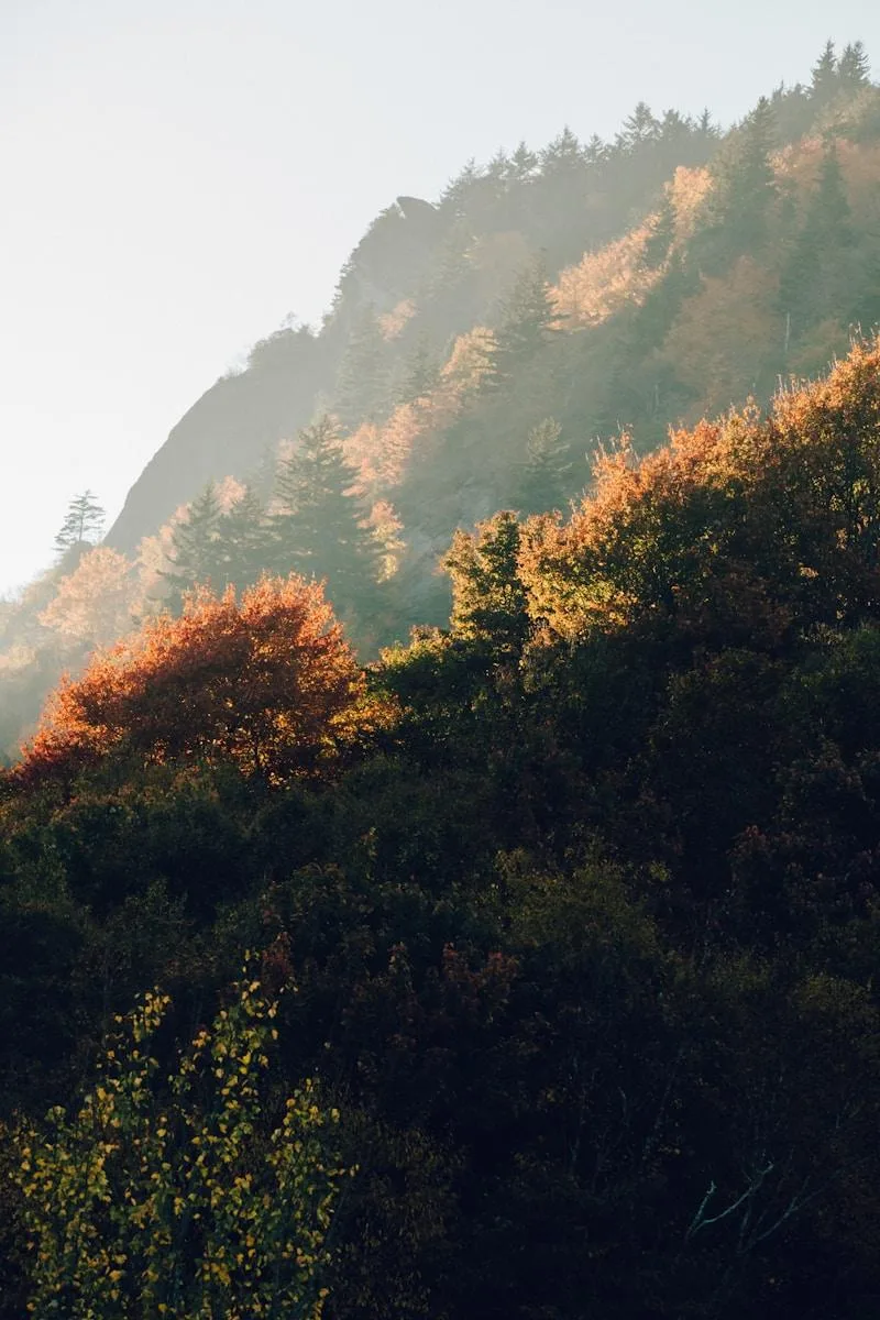 mountains in north carolina